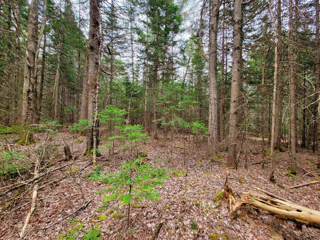 Photo of 280 Guyette
