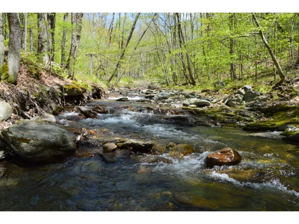 Photo of 425 Hidden Valley