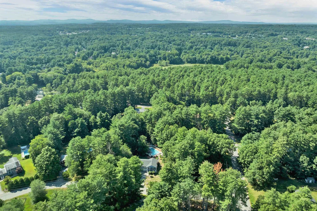 Photo of 2 Forest