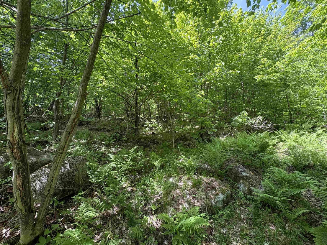 Photo of 0 Old Pond Hill