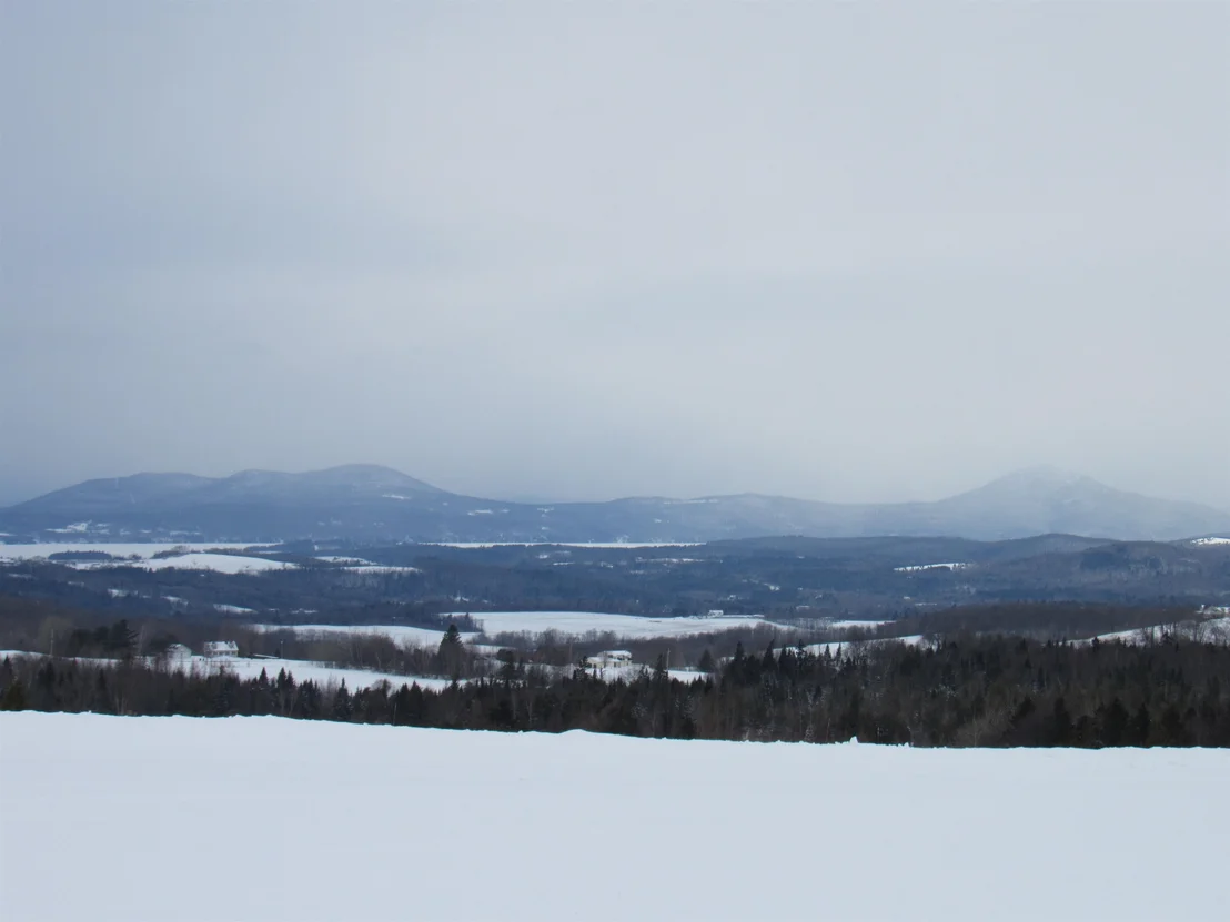 Photo of 2103 Herrick