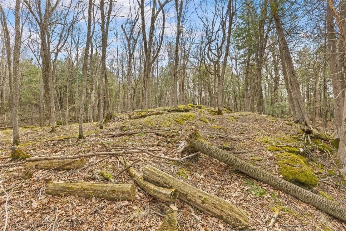 Photo of Unit LOT1 at 0 Bullock