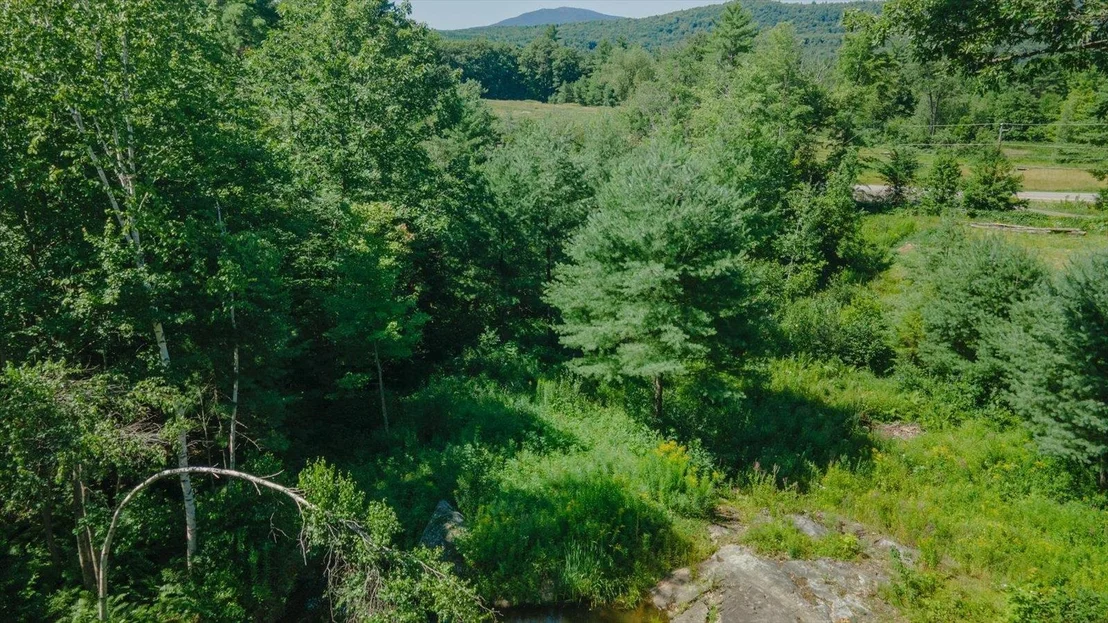 Photo of 73 Forest