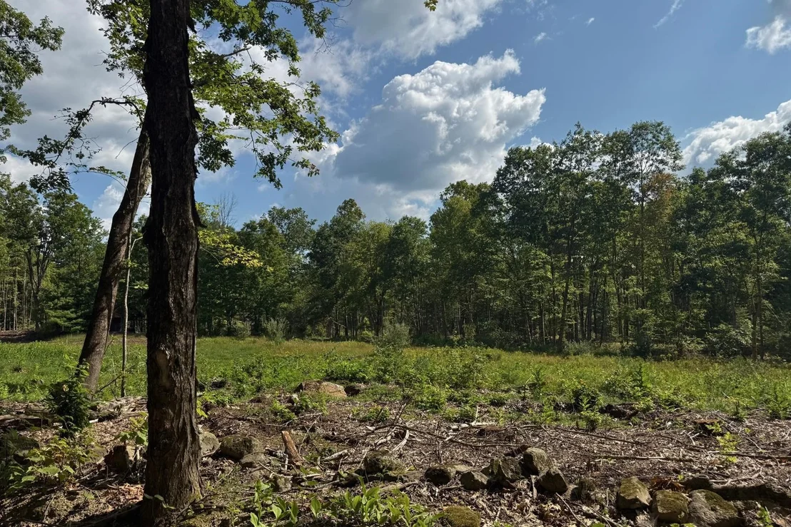 Photo of Lot 9-1 Roxbury