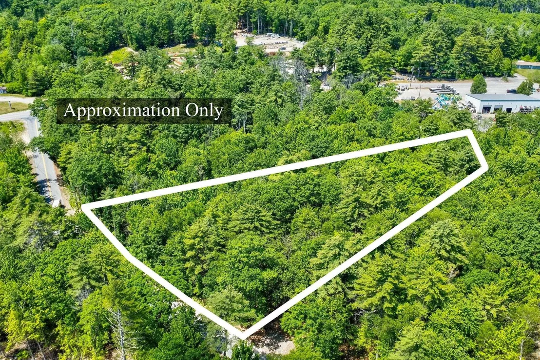 Photo of Lot 12-2 Needle Eye