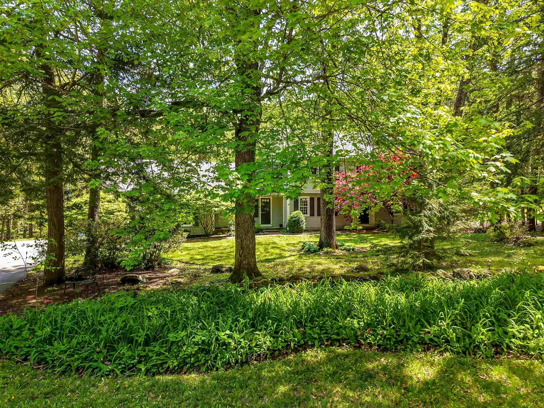 Photo of 19 Winterberry