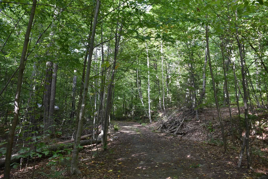 Photo of 397 Winch Hill
