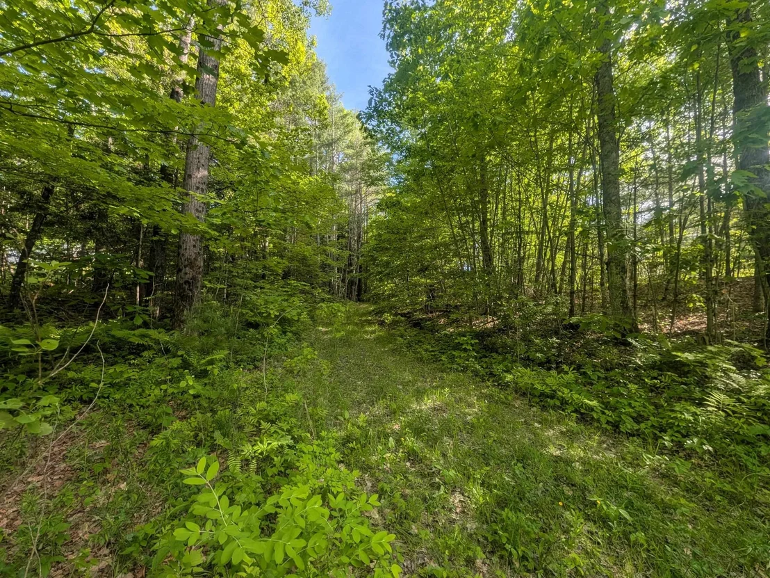 Photo of 198 Quechee