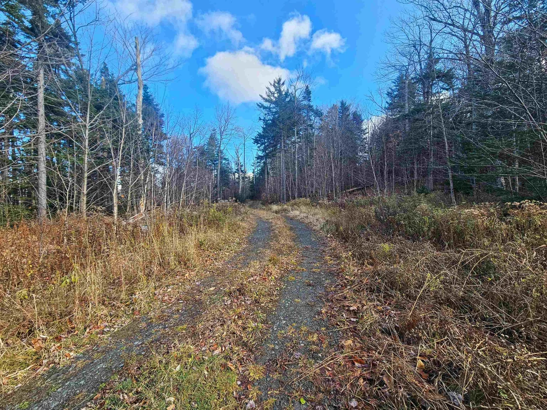 Photo of 706 VT Route 100