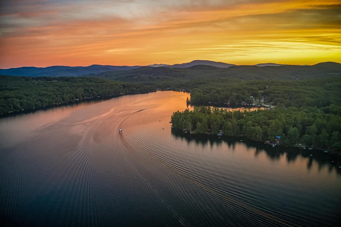 Photo of 11 Squamasee