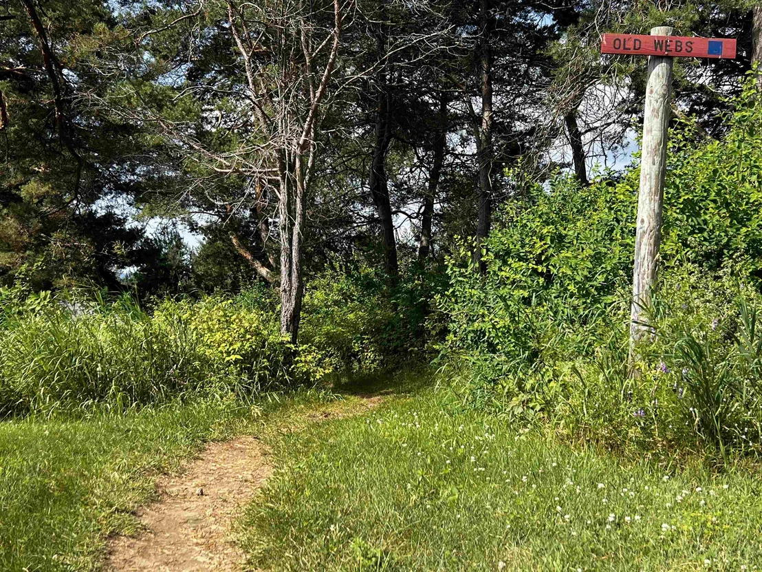 Photo of 0000 Darling Hill