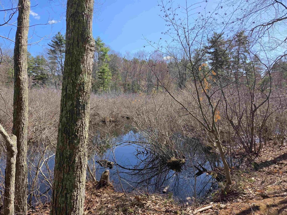Photo of 22 Tokanel