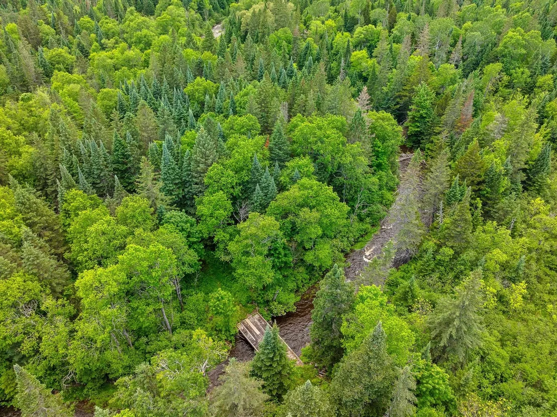 Photo of 354 Gray