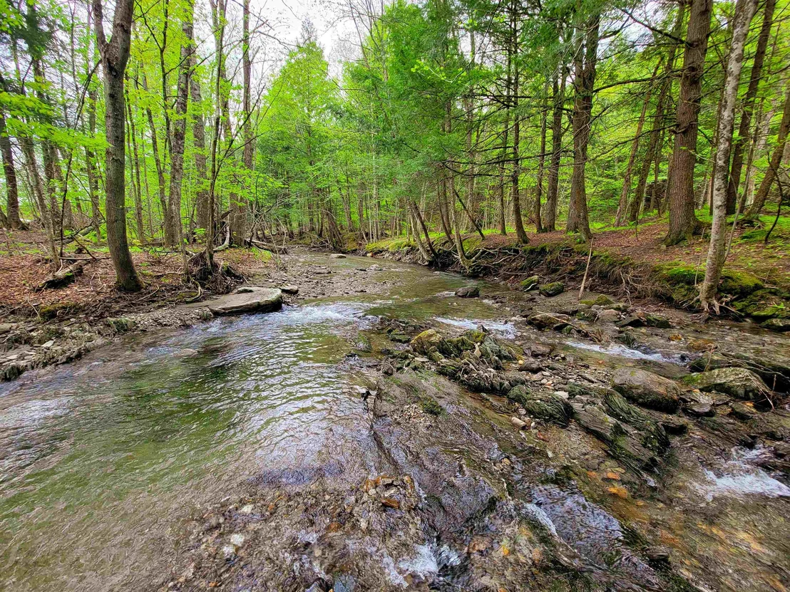 Photo of 167 High Meadow