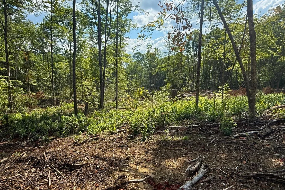 Photo of Lot 9-1 Roxbury