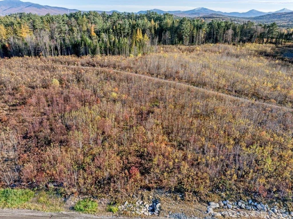 Photo of Lot 9 McIntyre