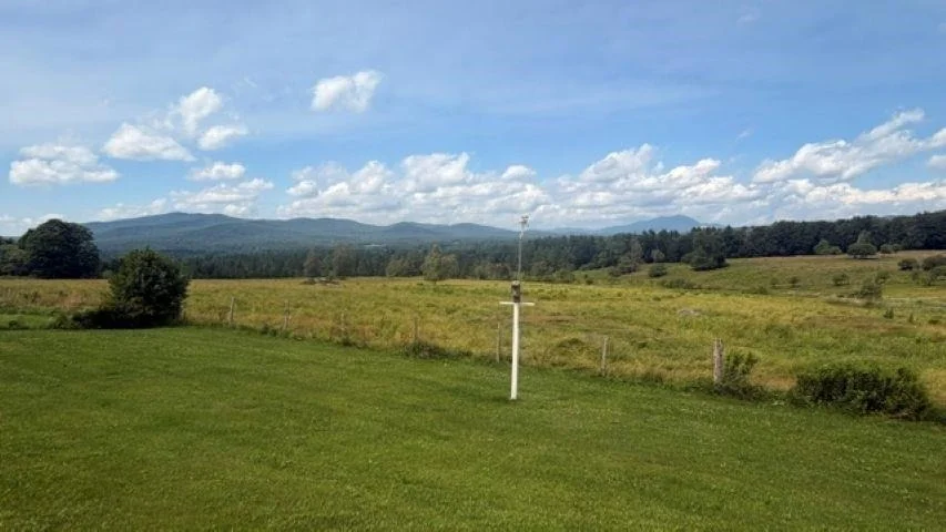 Photo of 264 grimes