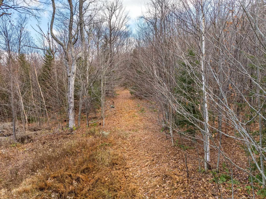 Photo of 706 VT Route 100