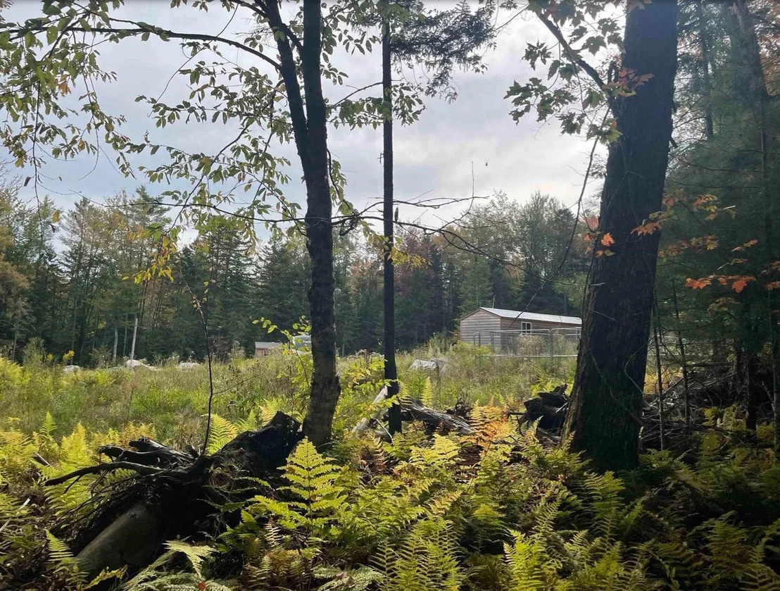 Photo of 130 Stevens