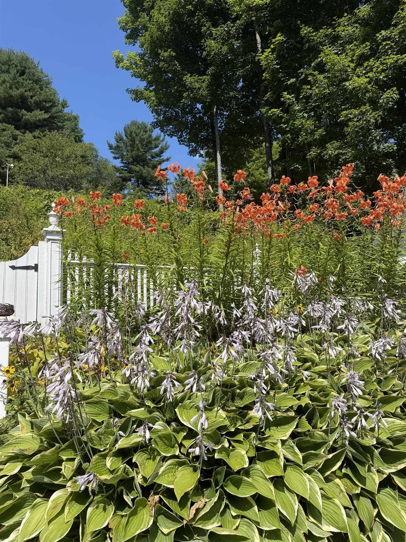 Photo of 408 Ridge