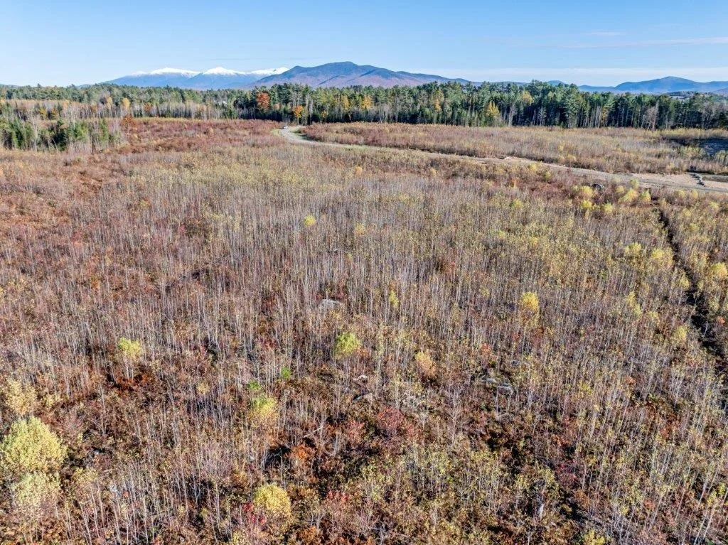 Photo of Lot 3 McIntyre