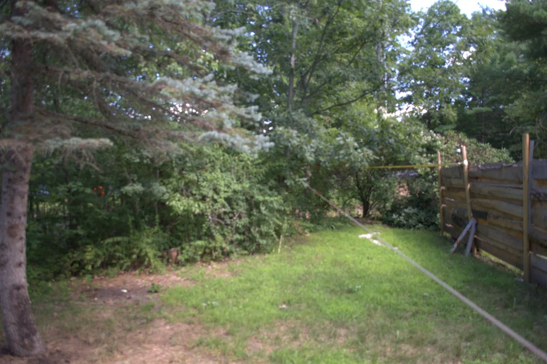 Photo of 39 Cooper