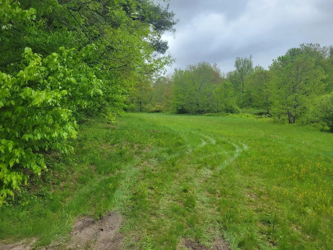 Photo of 00 Eastern District