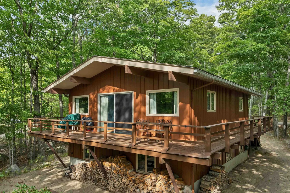 Photo of 49 Kings Pine