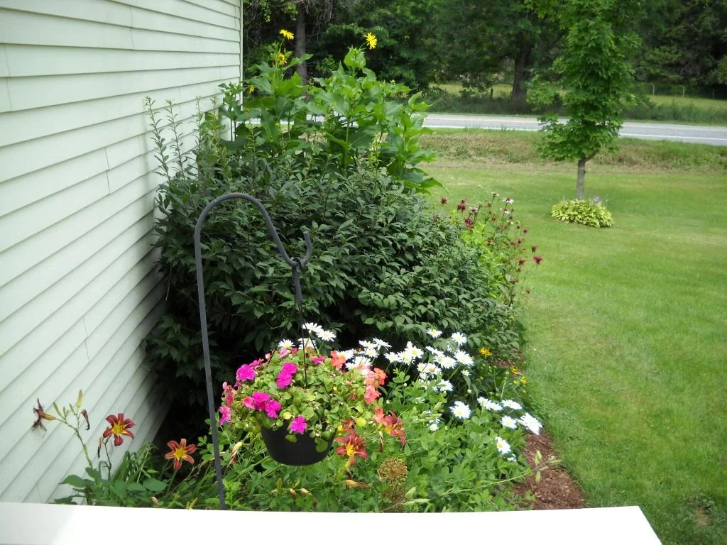 Photo of 6 Pierson