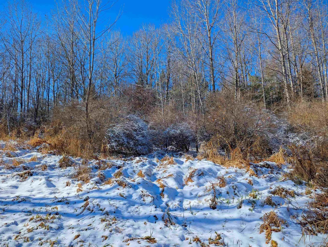 Photo of 00 Pudding Hill