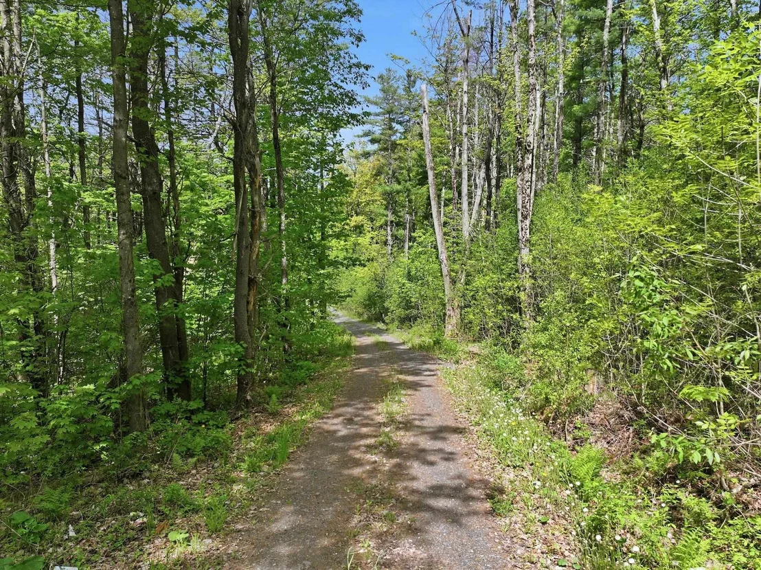 Photo of 189 Shagbark