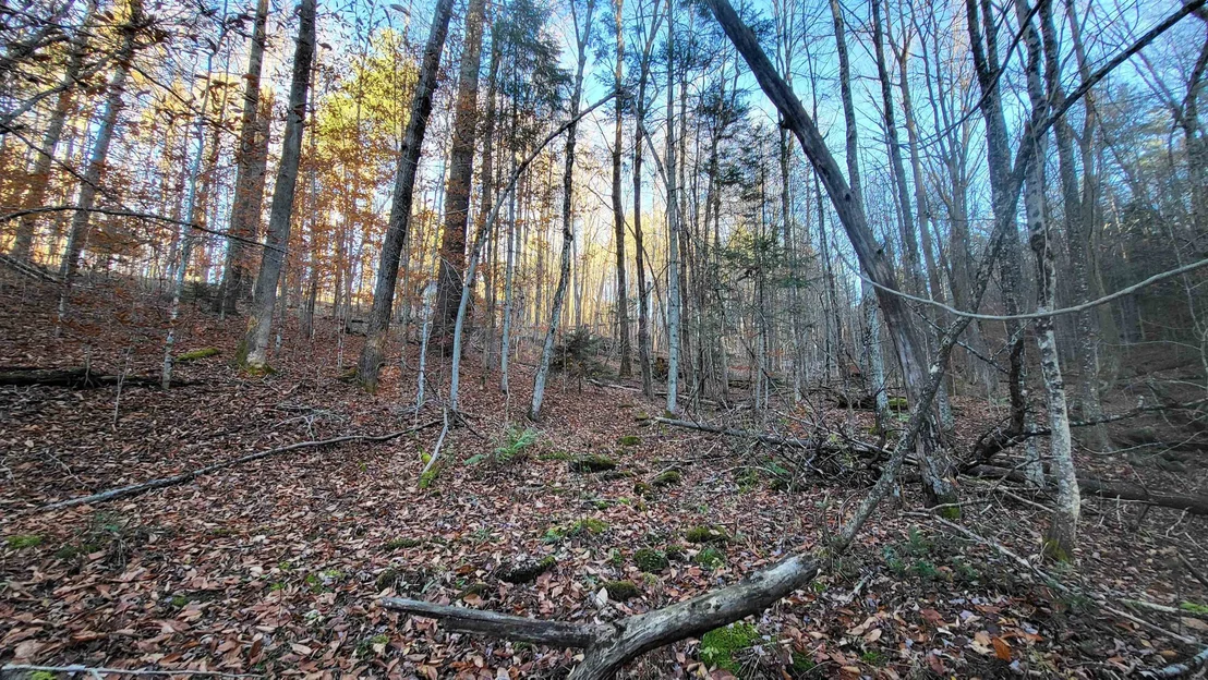 Photo of 535 Collar Hill