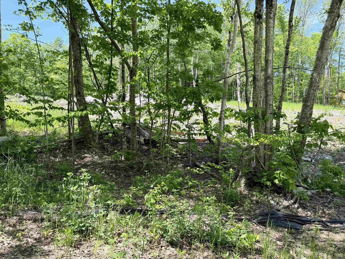 Photo of Lot 1 - 161 High Peak