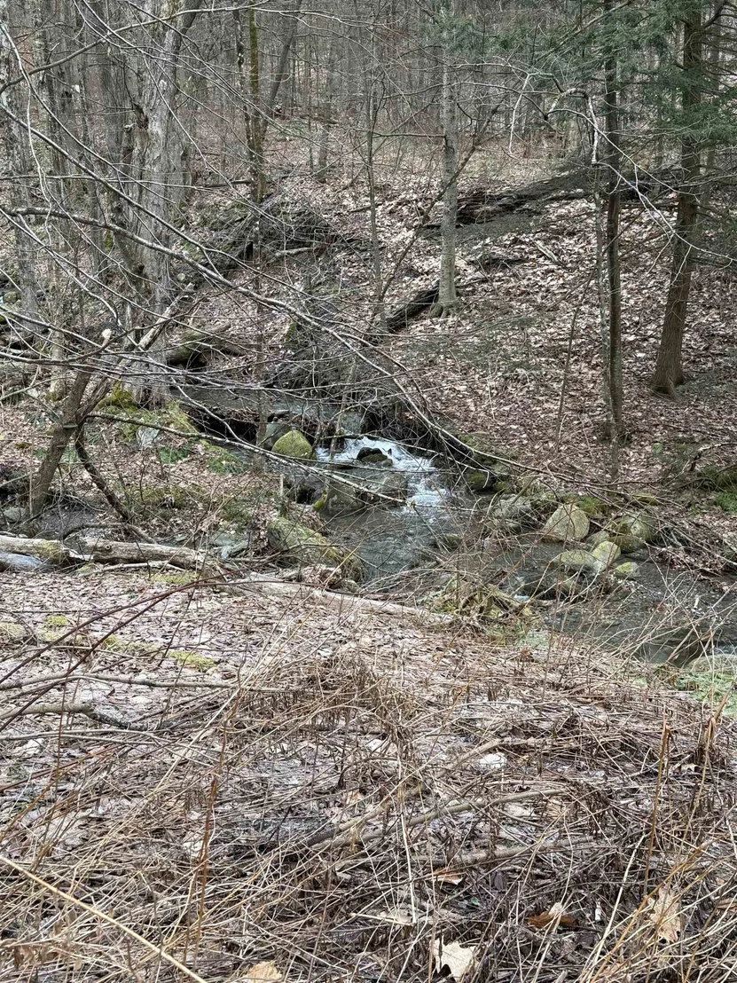Photo of 3465 Lamb Hill