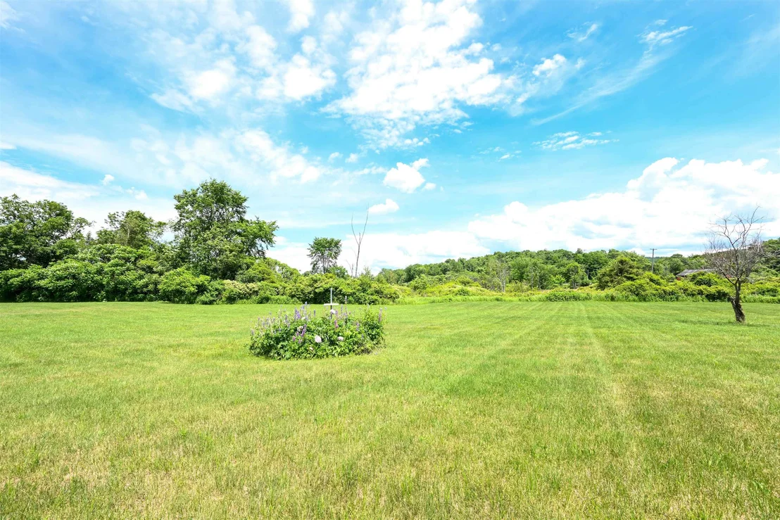Photo of 7 Riparian