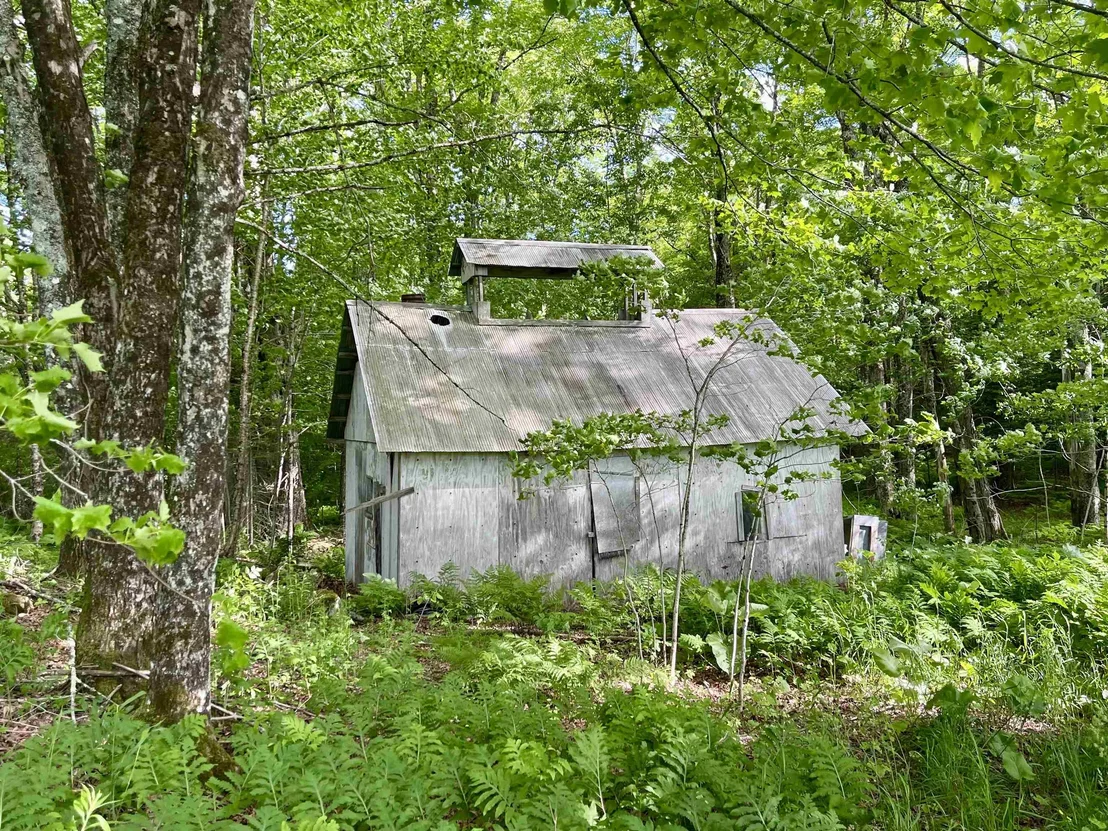Photo of 00 Old Farm