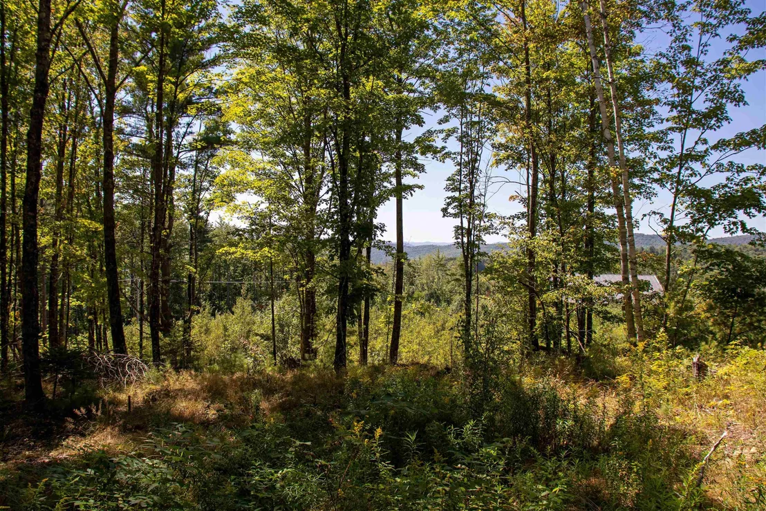 Photo of 1201 Shadow Lake