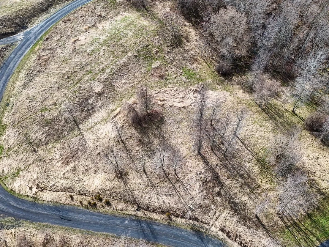Photo of Unit LOT1 at Lot 1 Terrapin