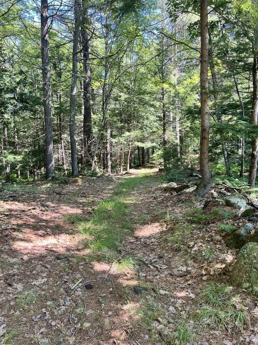 Photo of Map 2 Lot 94 School