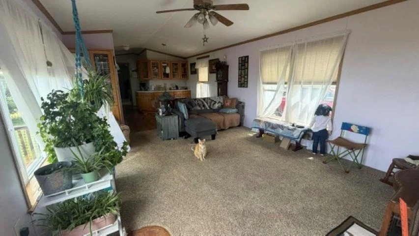 Photo of 264 grimes