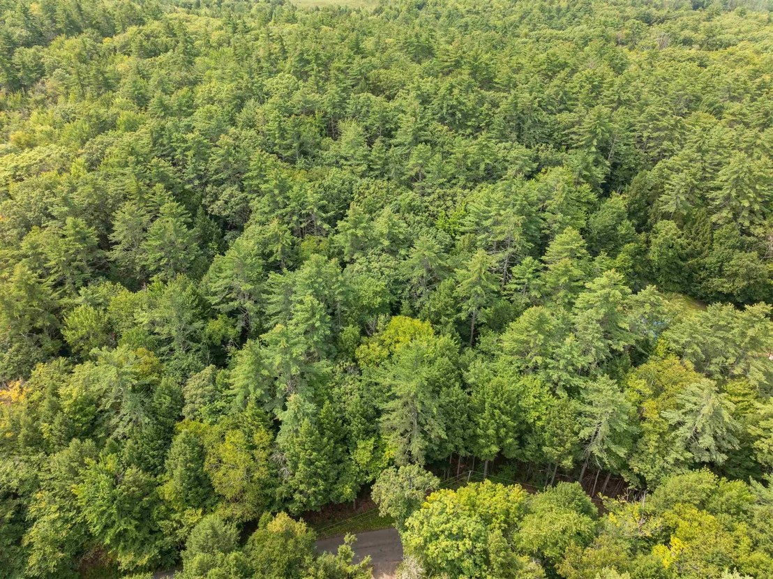 Photo of 32 Forest Pond