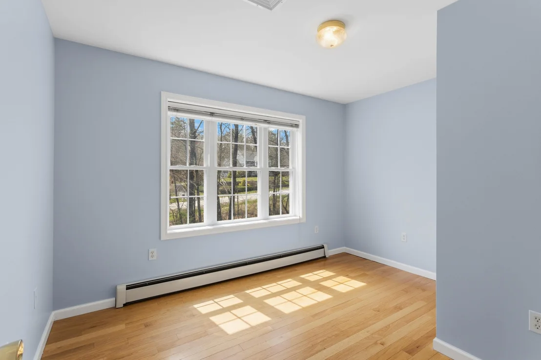 Photo of 116 Fiddlehead
