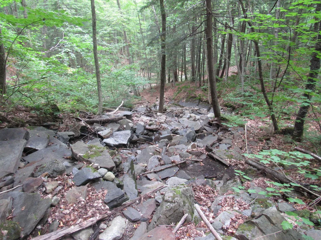 Photo of 6791 US Route 5