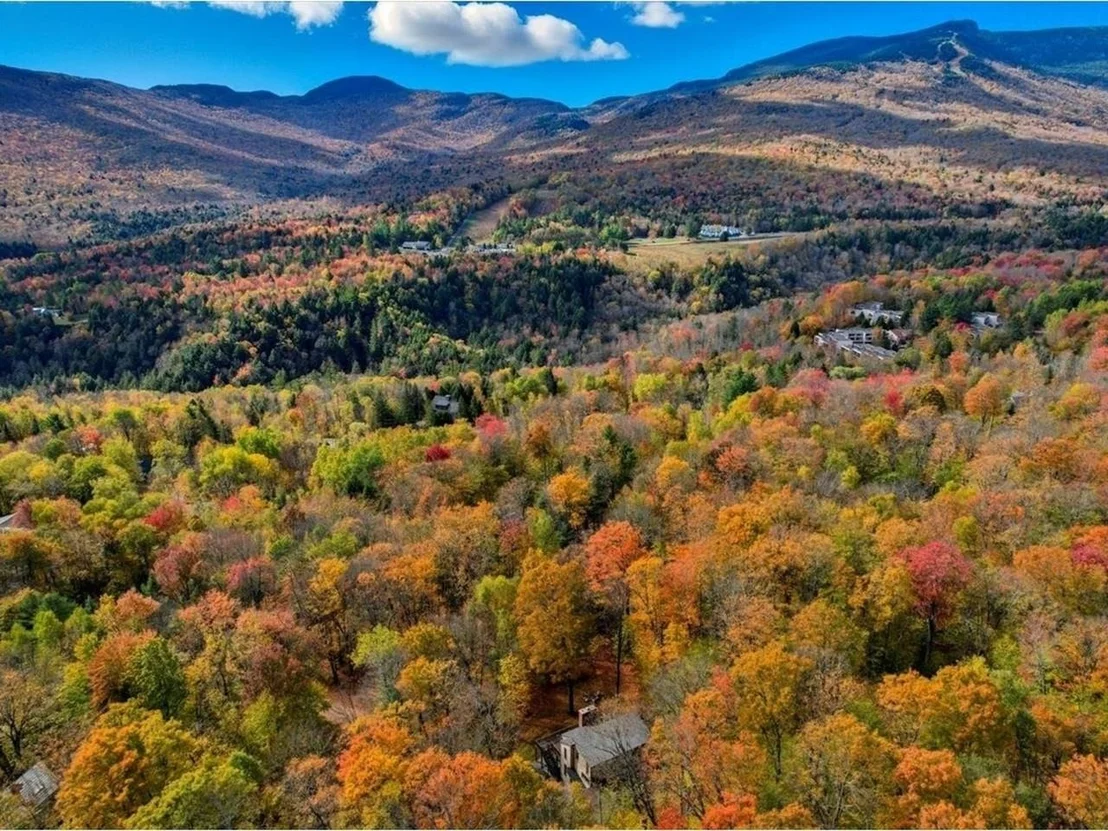 Photo of 185 Maple