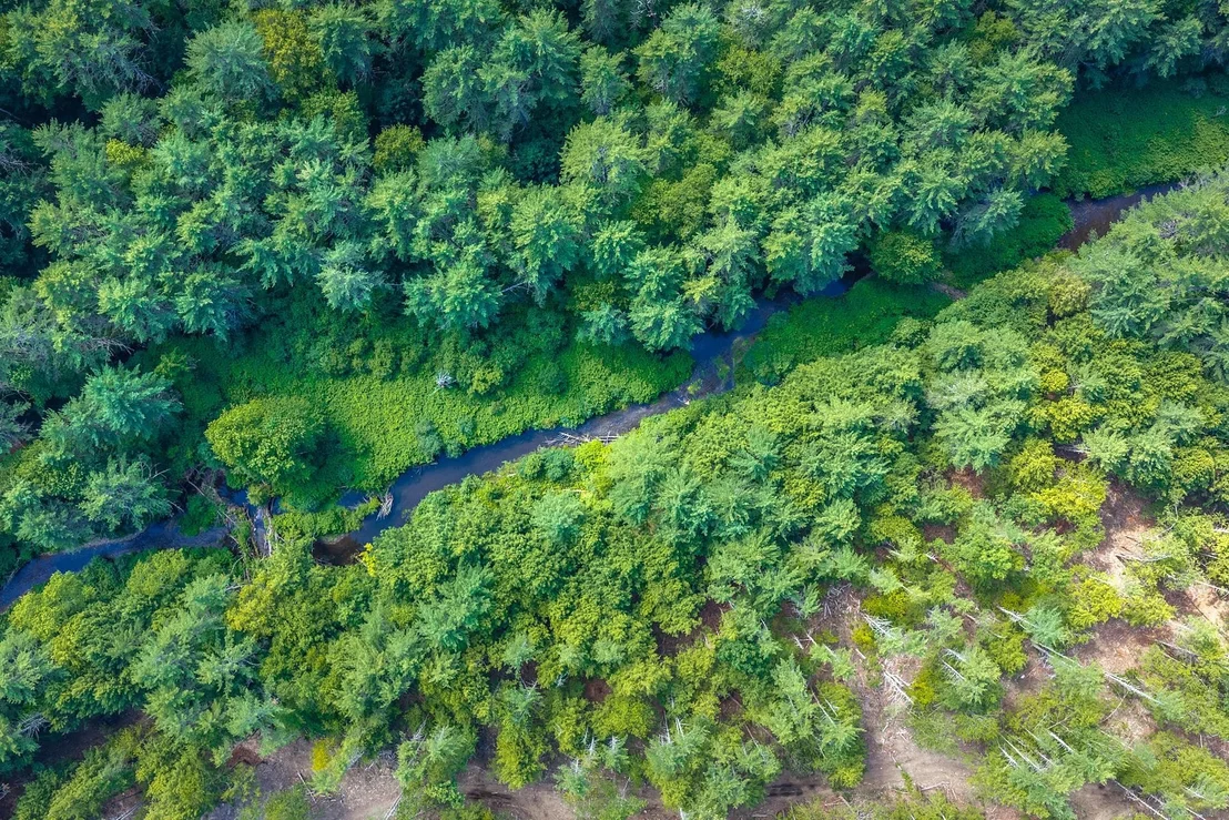 Photo of 40 E Putney Brook