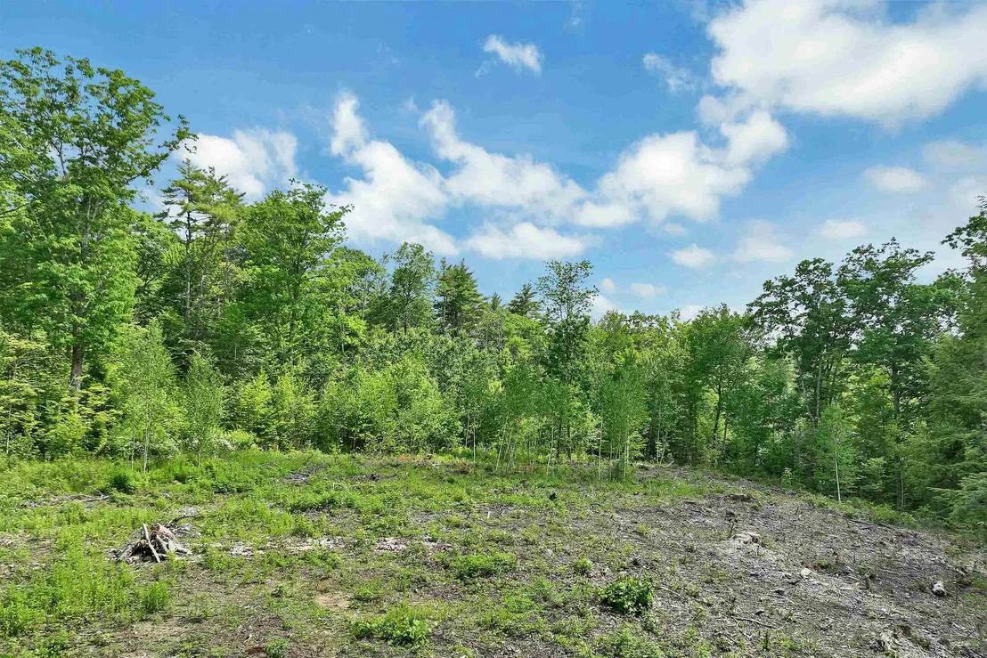 Photo of 40 Lowden