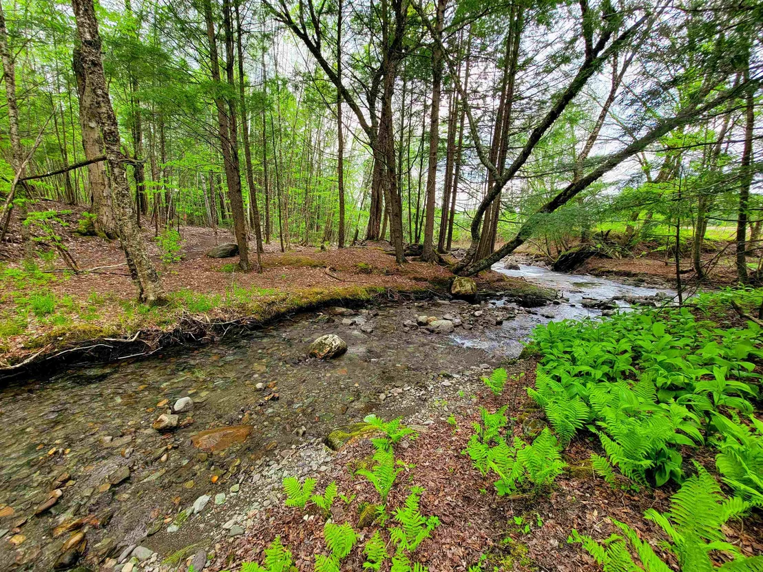 Photo of 167 High Meadow