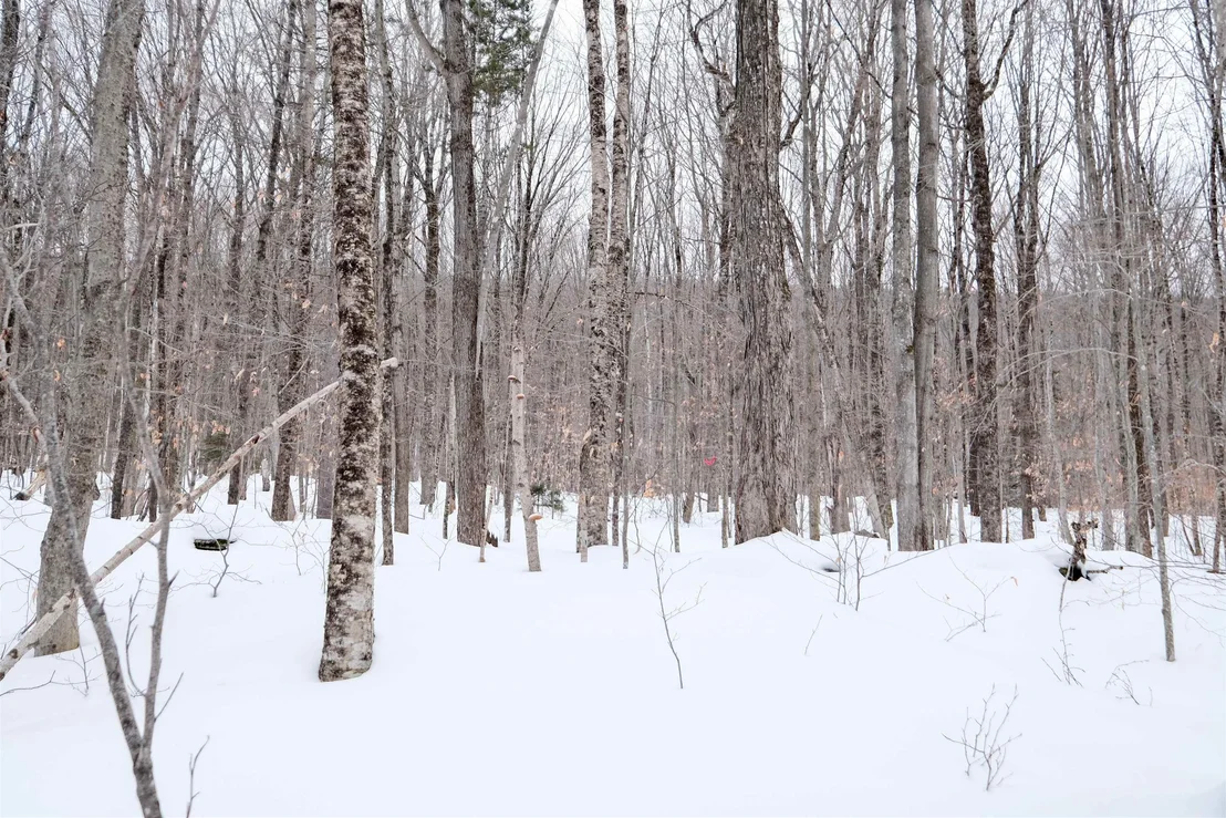 Photo of 0 Markham Mountain