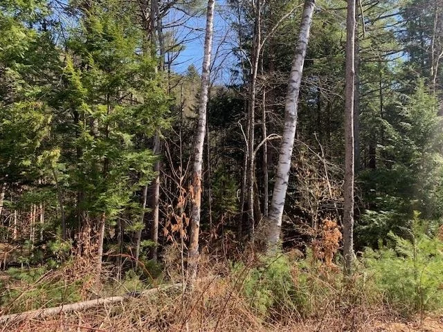 Photo of TBD VT Rt 100
