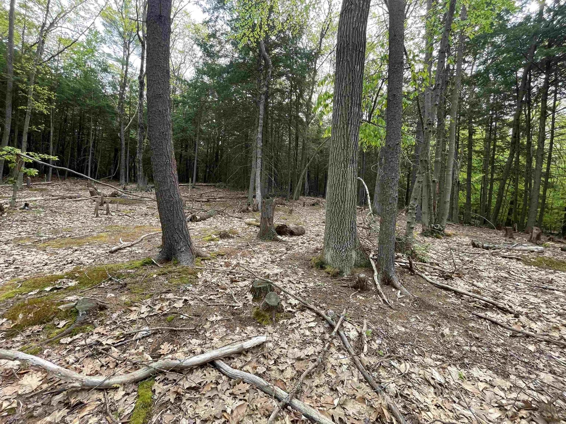 Photo of Map 212, Lot 49 Durrell Mountain